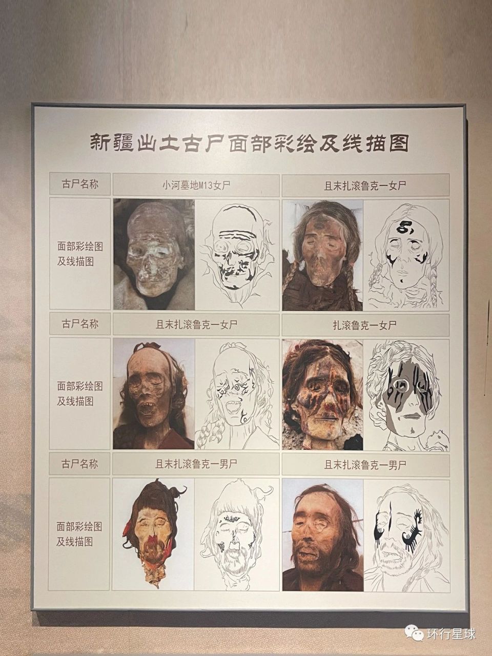 泥炭鞣尸图片图片