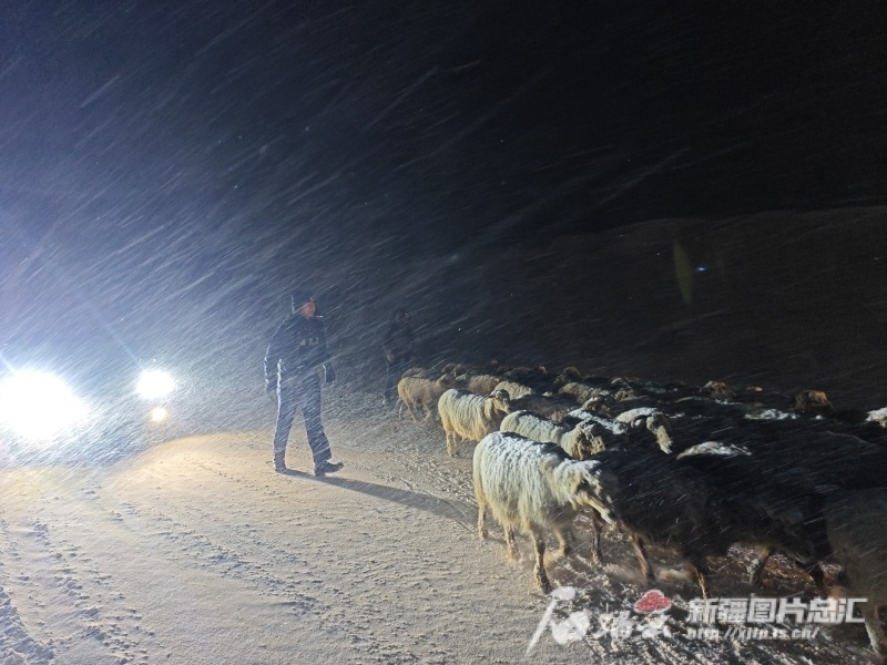 王鹏飞 摄2月16日23时,伊犁哈萨克自治州昭苏县夏特柯尔克孜族乡别斯