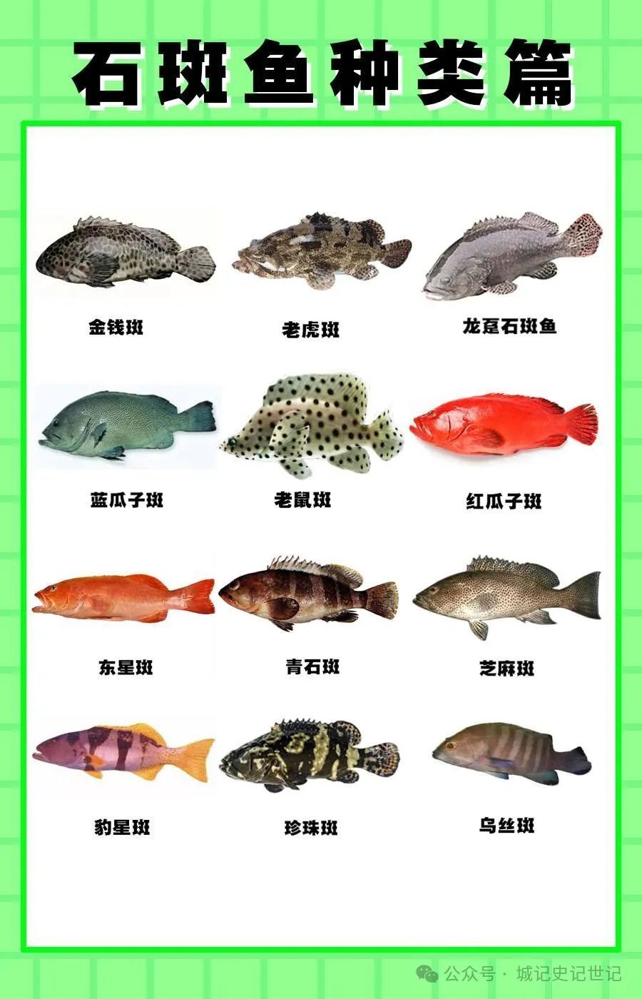 击沉"里斯本丸"号的"石斑鱼"咋成了"鲈鱼"