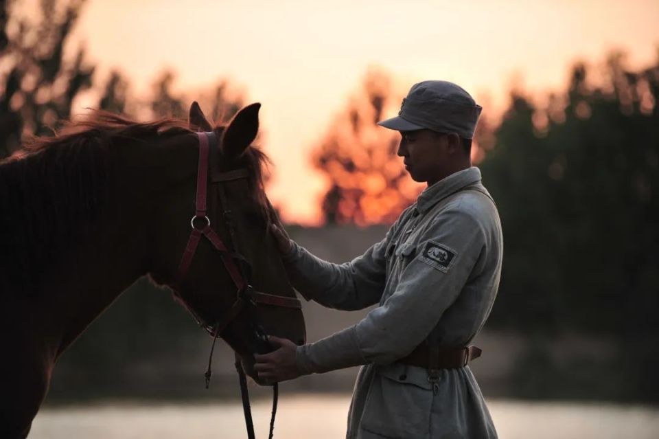 电视剧中国骑兵 腾讯网