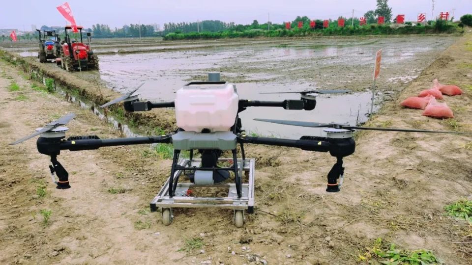 紫薇水稻公园孟夏开犁了