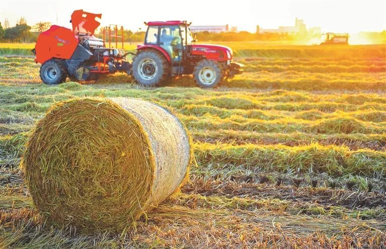 形成了"种植—秸秆饲料—养殖—有机肥料—种植"的生态循环闭环模式