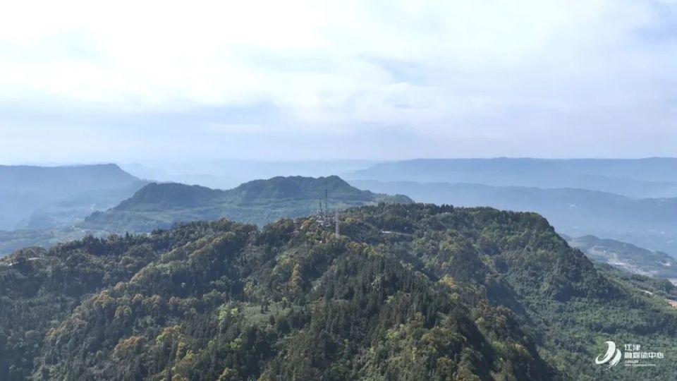 骆崃山采茶挖笋,明日见!_腾讯新闻