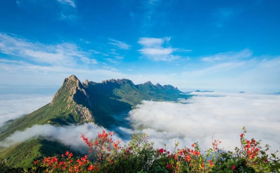 2024上饶灵山100越野赛报名开启!