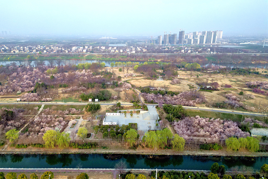 太和湿地公园三期建设图片