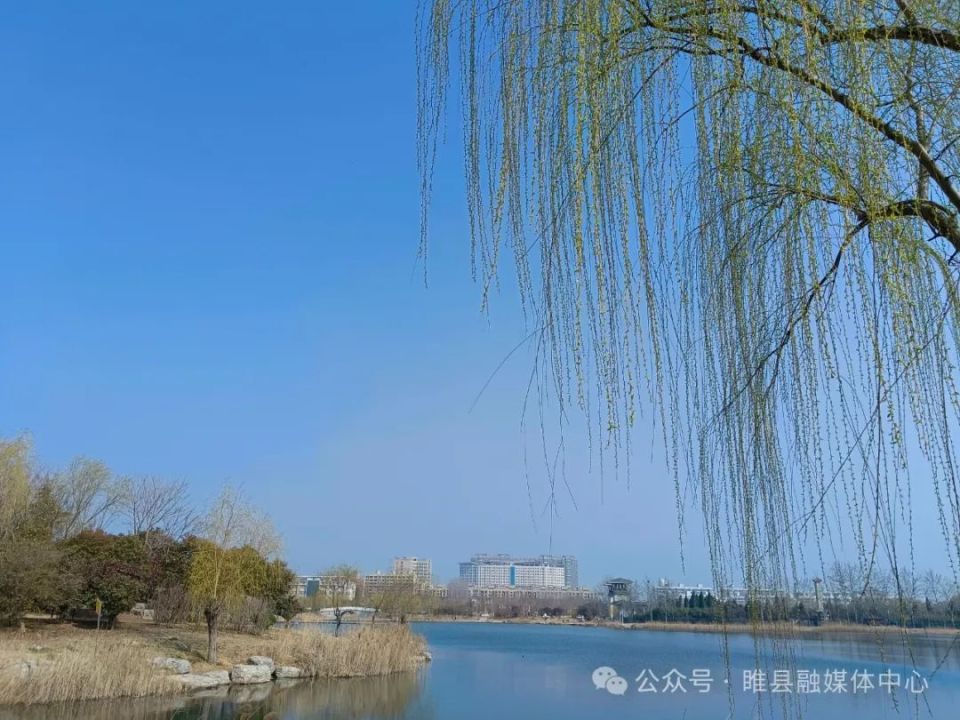 睢县最是一年春好处出游踏青正当时