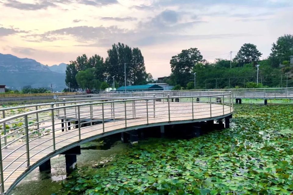 鲜鱼码头,北防口绵蔓秘境露营基地,豌豆农庄,洛阳村及珍果庄园等多地