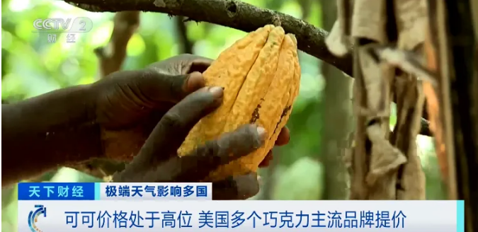 飙涨121%！三大巨头宣布涨价