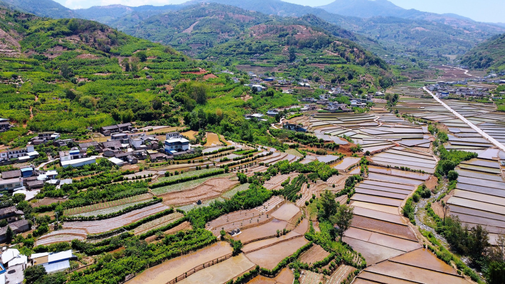 c视频|攀枝花盐边县:江河渐满日 插秧正当时_腾讯新闻