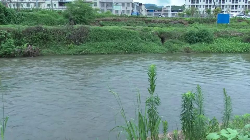 危急时刻,韶关这位14岁少年纵身跳入水中