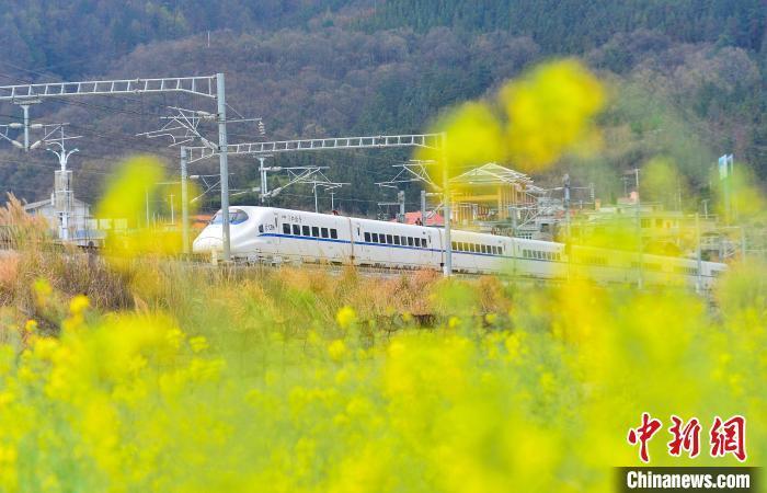 卢忠南 摄一列动车组列车在贵广高铁贵州省从江县洛香镇段附近行驶.