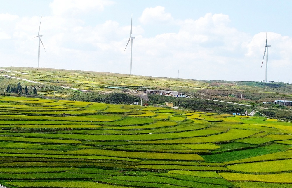 贵阳高坡梯田打翻了秋天的调色盘