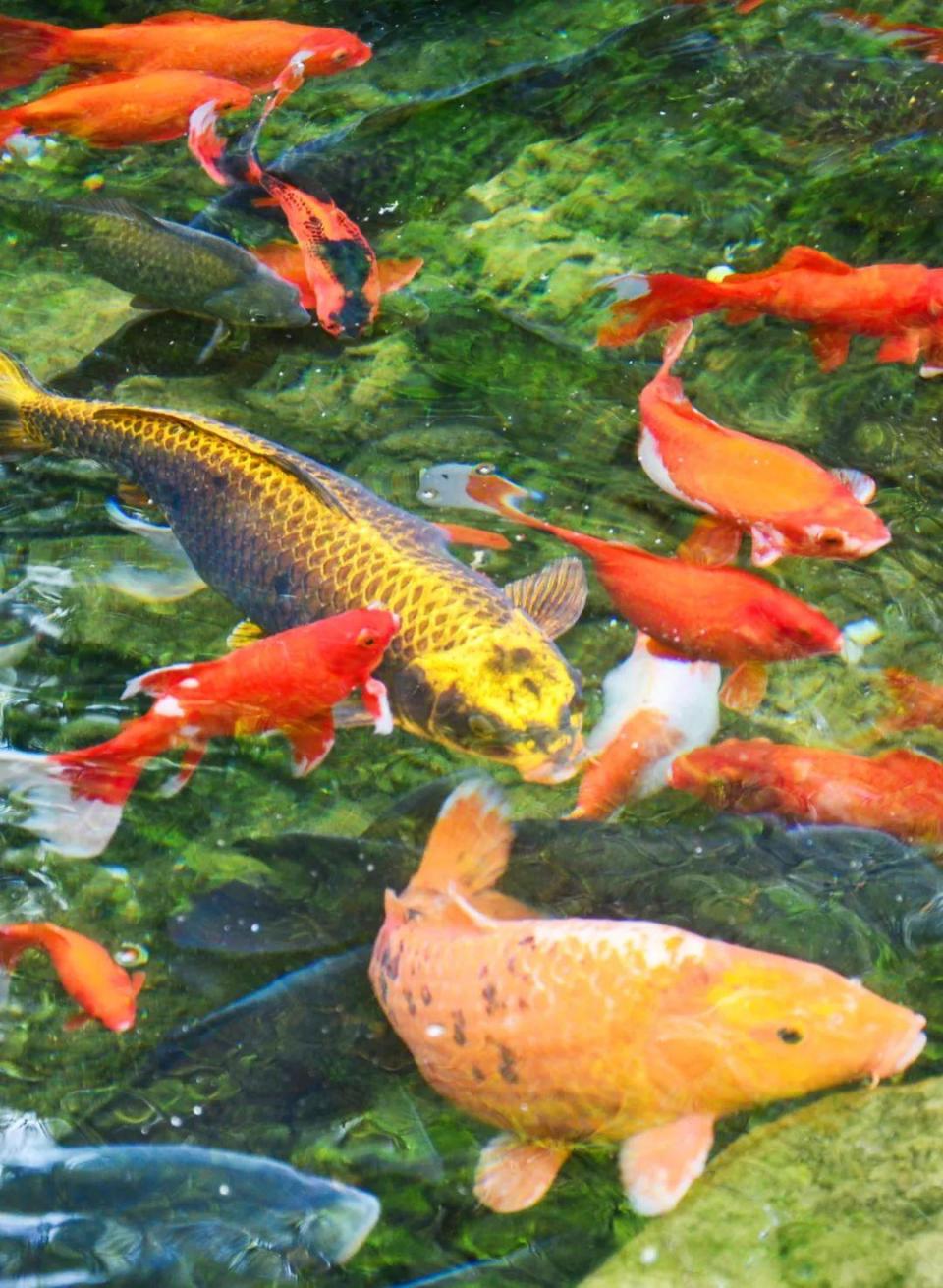 这个夏天,来山东这样玩简直不要太精彩!