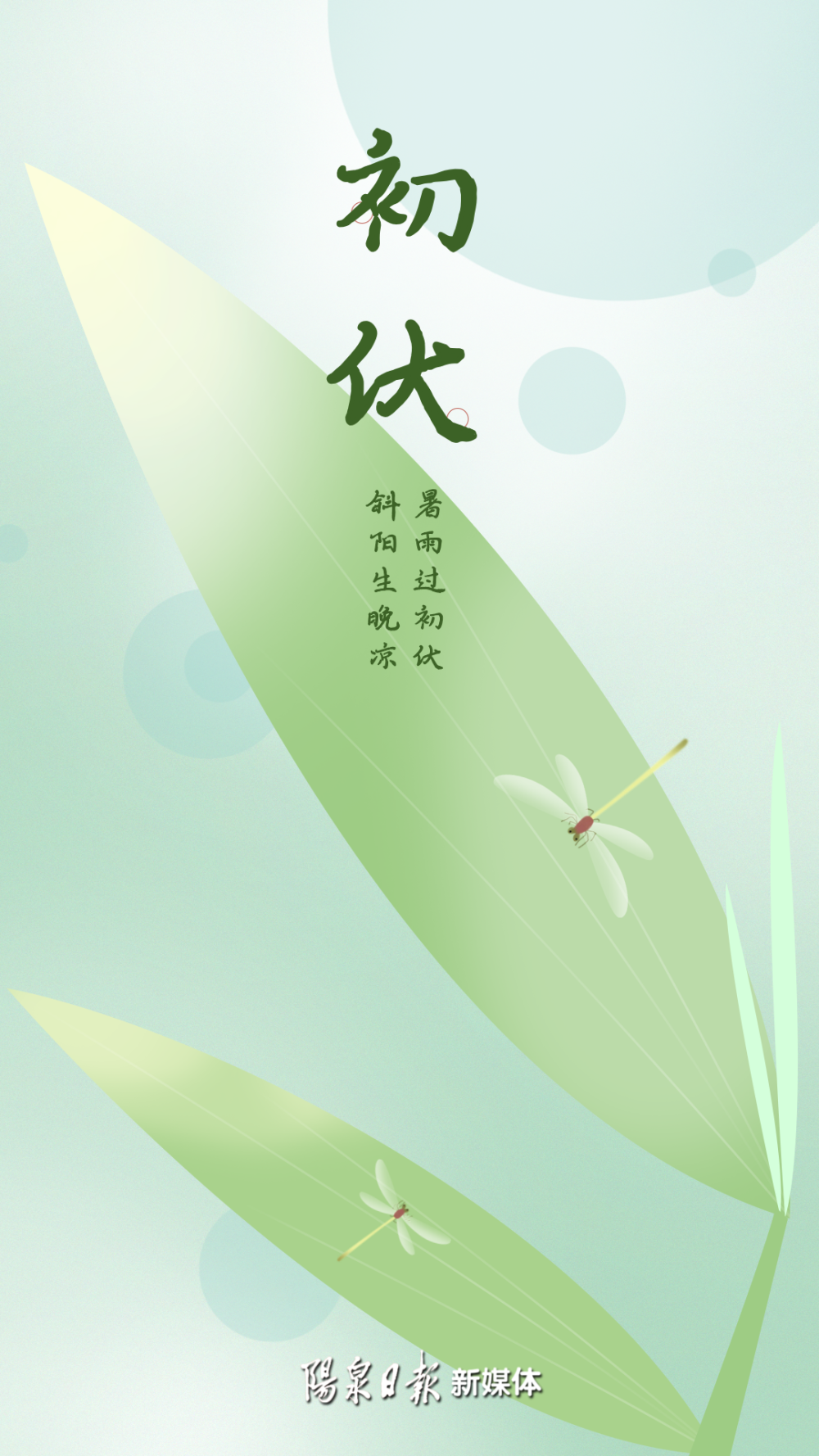 今日入伏!