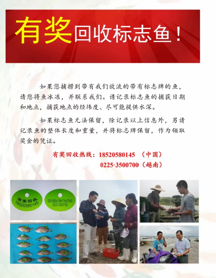 对于鱼身上这块"有奖回收"标志牌,有网友建议:"不如写明是科研回收