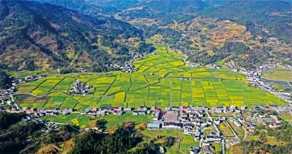 重庆彭水:推动乡村振兴 打造生态绿色产品供给地