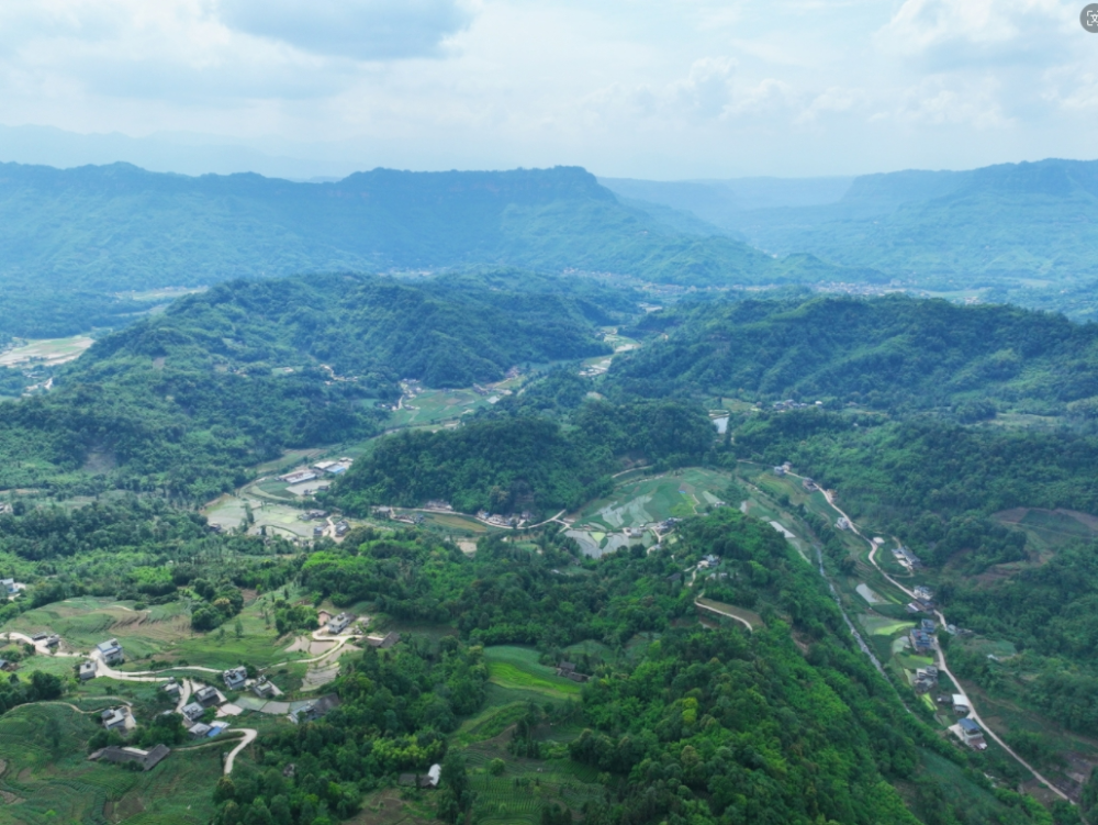 丰岩村目前有8户黑山羊养殖户,其中有3家家庭农场,全村黑山羊存栏数