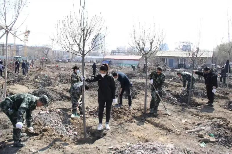 【4·20森工植树日】林区各地:共"植"新绿   同"树"未来