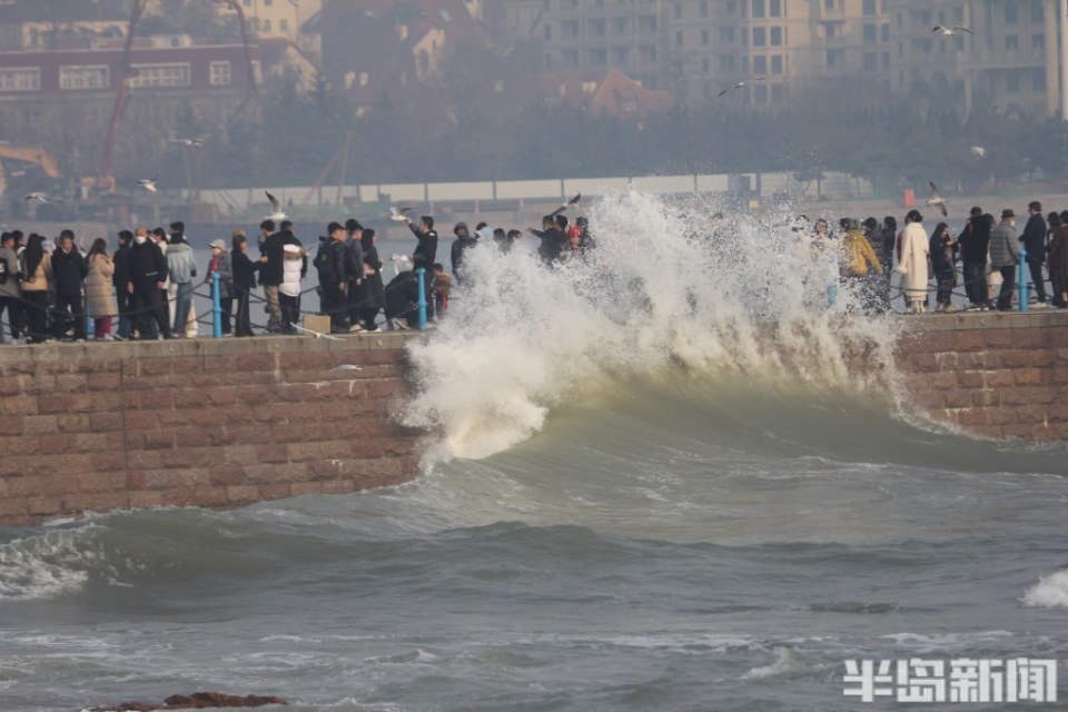 3月22日,游客在青岛栈桥海域观浪.
