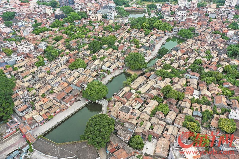 古民居,祠堂,古井……秋日暖阳下,位于东莞市茶山镇的南社明清古村落