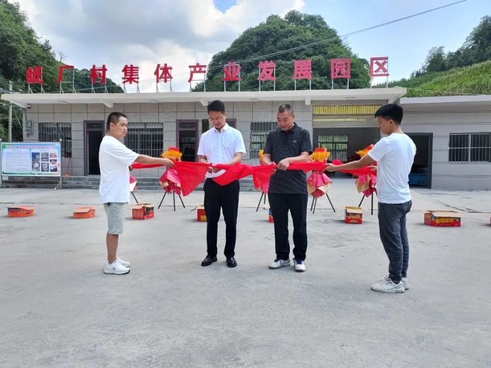 大方县这个村交出1份答卷