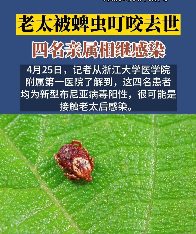 夏天常见小虫子竟如此危险！蜱虫传播疾病，你还敢忽视吗？