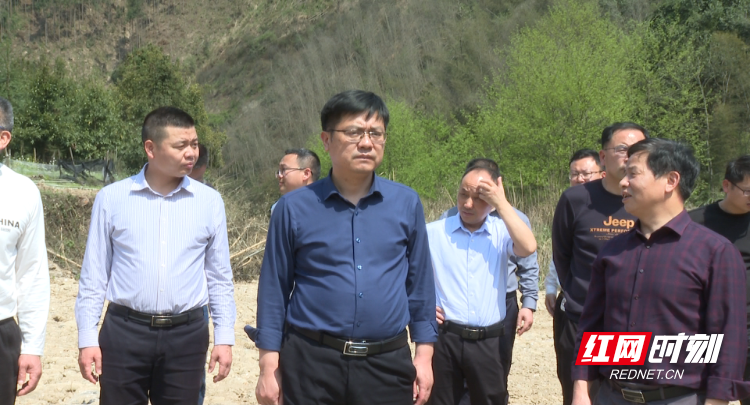 祁阳陈小平调研督导春耕生产早稻育秧东方红水库移民安置工作