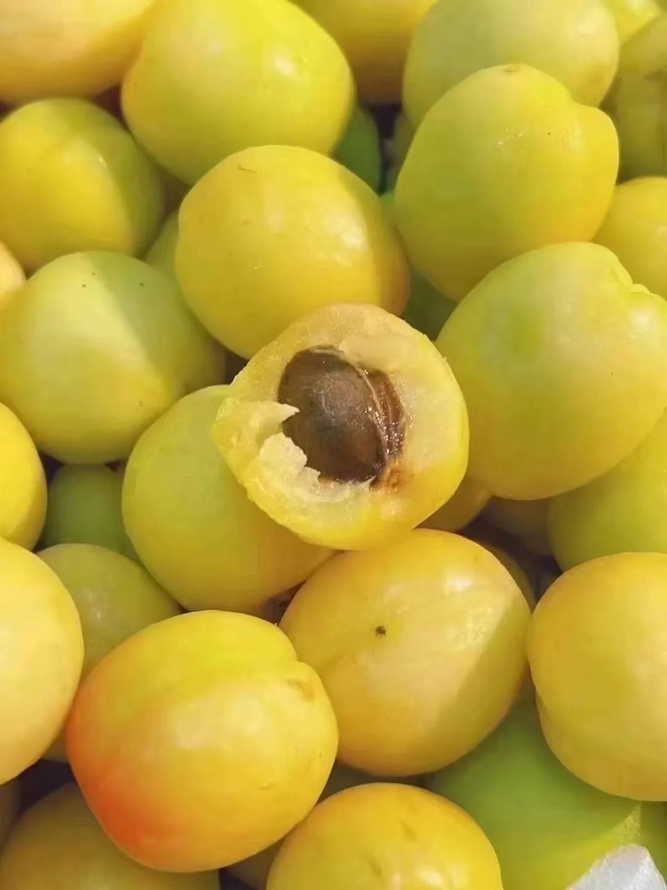 每个夏天都刷爆朋友圈的新疆小白杏,今年别错过啦