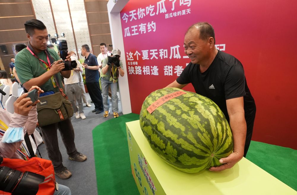 全国西瓜来北京大兴打擂台,庞各庄瓜农第四次夺冠"瓜王"