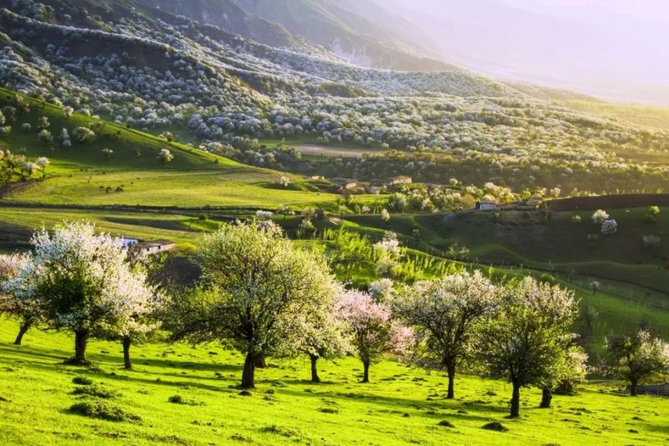 文化中国行 | "五一"假期,新源县累计接待游客53.