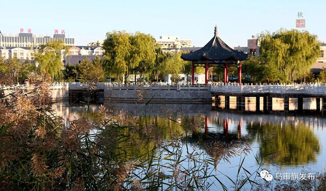 内蒙古乌审旗:绿色织锦绣 文明唱新风_腾讯新闻