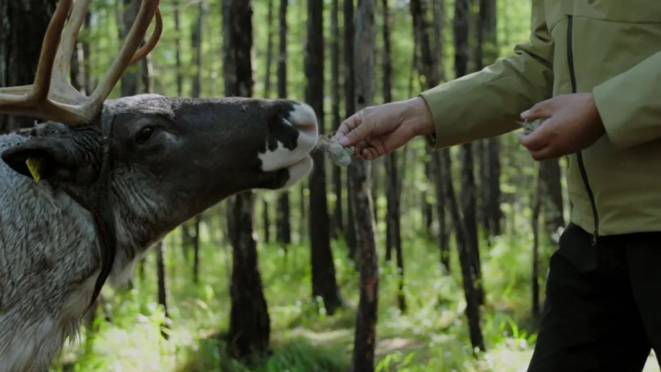 最美公路极致景观发现大使,最强大脑"水哥"王昱珩和"博物君"张辰亮