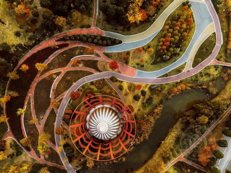 阜阳航拍 | 第四届"鸟瞰视界"全国航拍大赛投稿作品精选