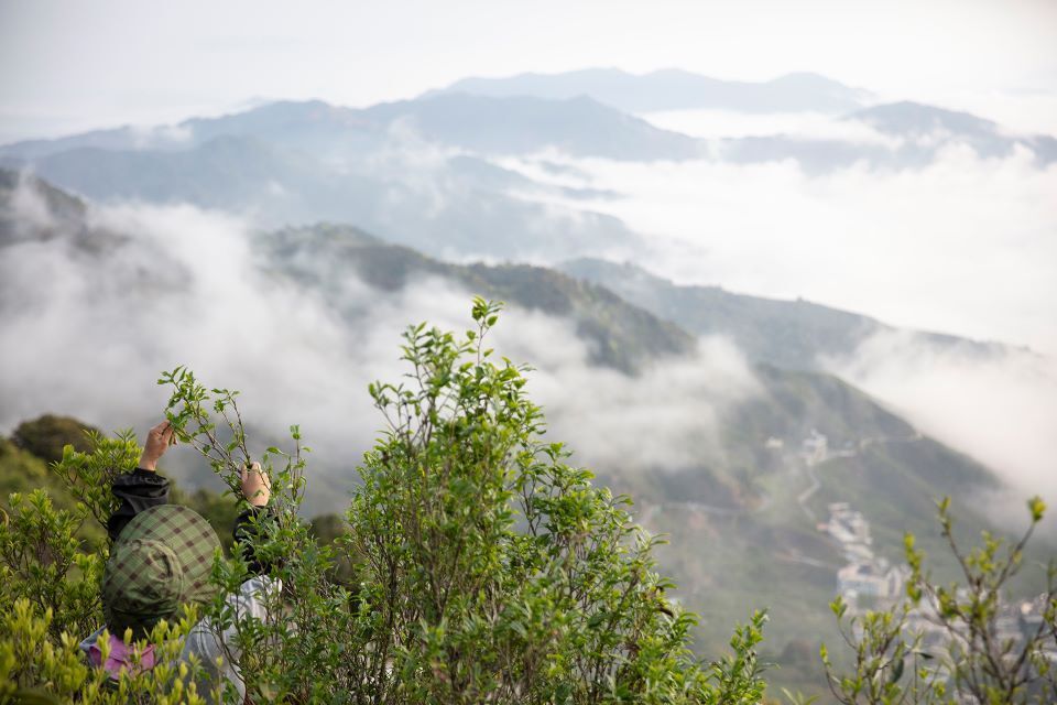 潮州凤凰山乌岽村图片