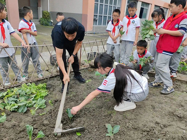都江堰市聚源小学:让劳动教育为学生的成长赋能