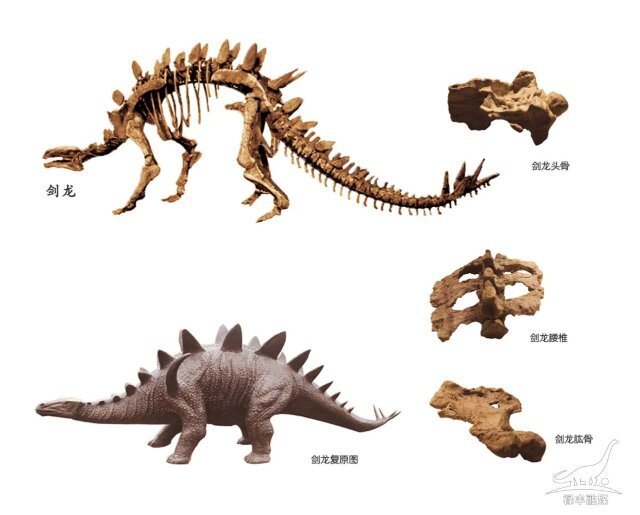 开屏策划|云南寻"龙"迹