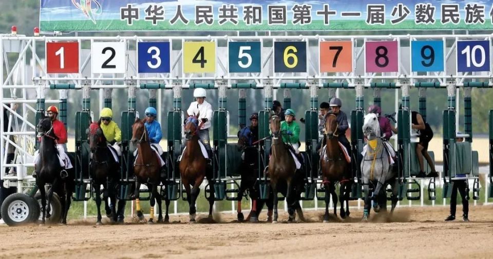 赛马,跑马射箭……"马上"开赛,项项精彩!