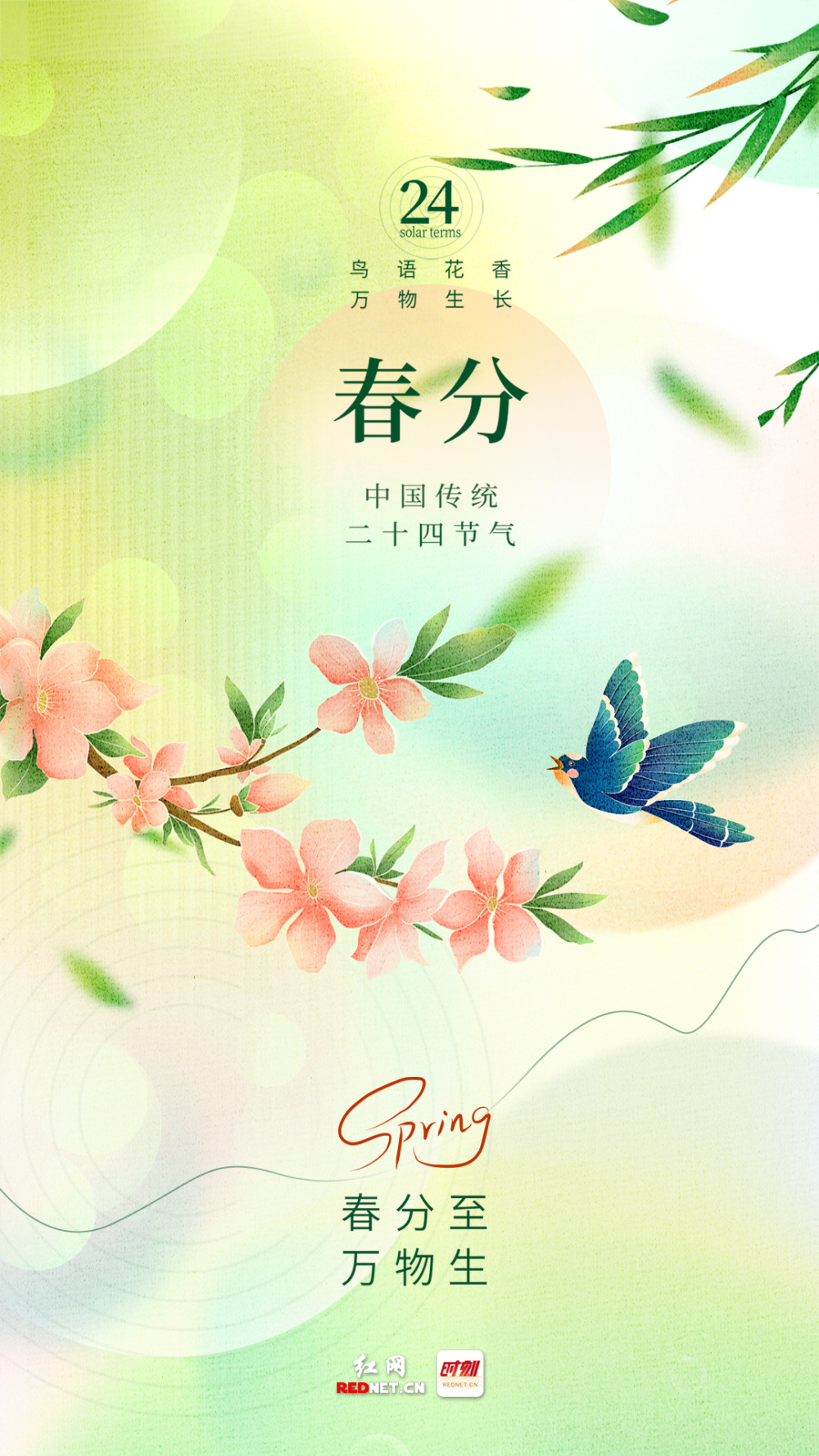 春分海报丨春分至 万物生