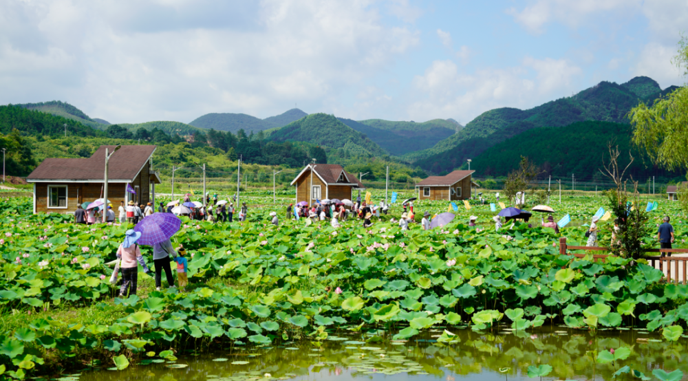 在这夏日炎炎,瓜果飘香的季节,7月6日,连州市龙坪镇以"花"为媒,在