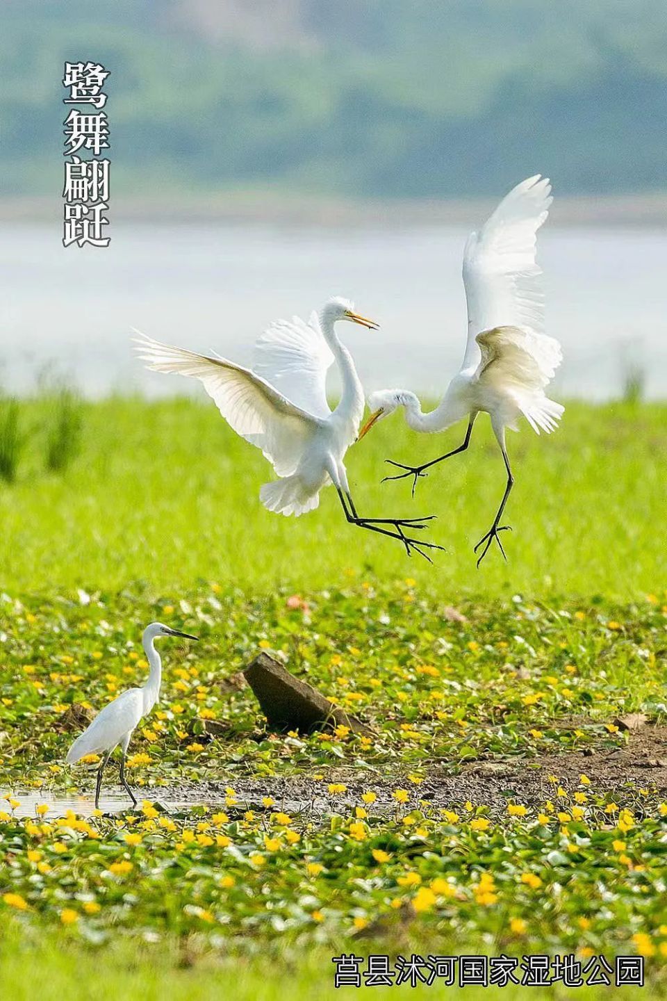 邂逅"日照美"!一大波美图来袭