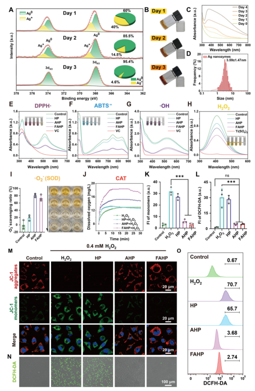 抗菌敷料有哪些西安交大AM：新型自进化水凝胶敷料，为感染性糖尿病伤口愈合提供时空精准调控新策略_https://www.jmylbn.com_新闻资讯_第6张