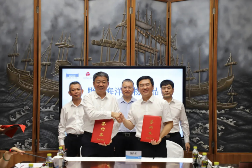 北京市平谷区人民法院向中国(海南)南海博物馆移交案