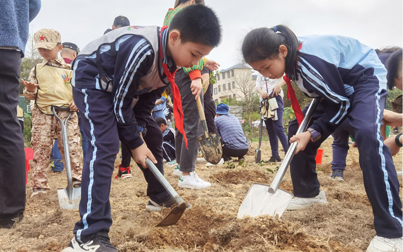 秀田小学分校图片