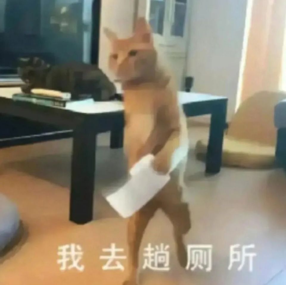 网友:画面感太强了