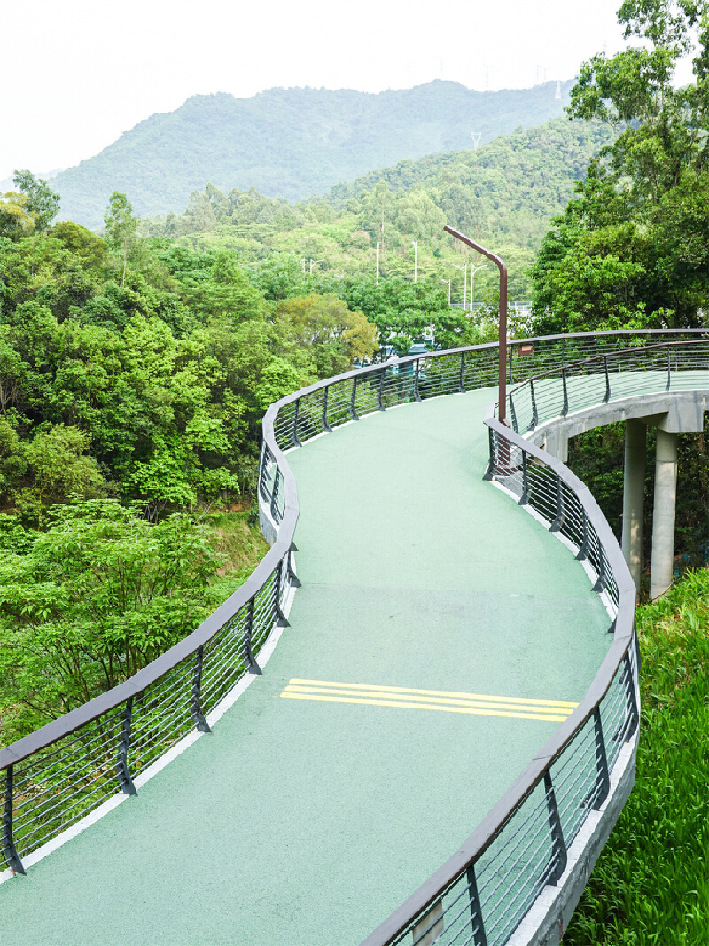 深圳enjoy|试过了,这条绿道真的可以"去班味"