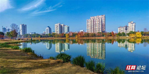 太治癒了常德這條沿河風光帶沿途皆是美景