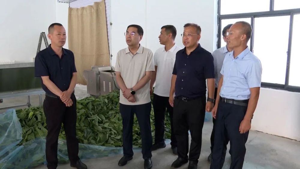 高晓斌深入部分镇检查指导农业农村工作