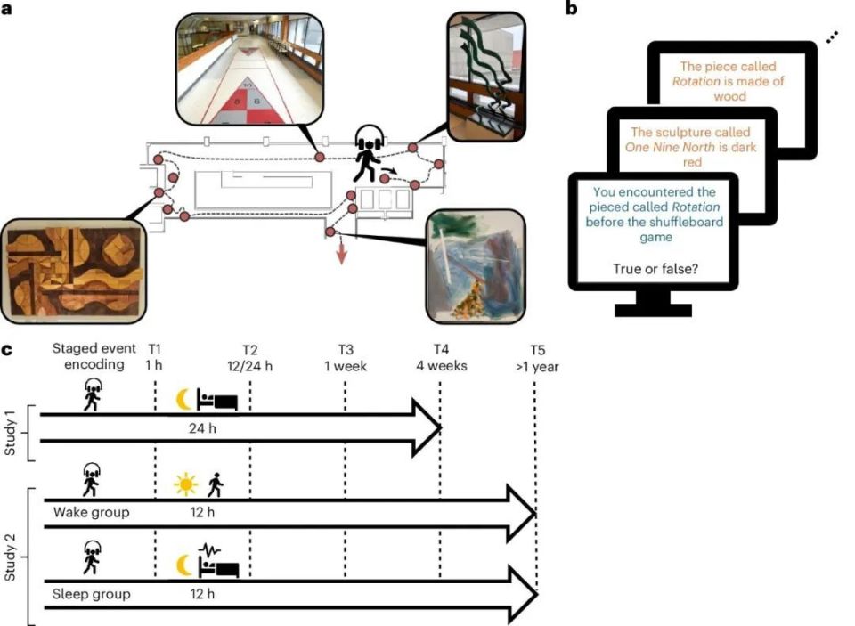 以色列医疗设备有哪些追问weekly ｜ 过去一周，脑科学领域有哪些新发现？Vol.63_https://www.jmylbn.com_新闻资讯_第10张