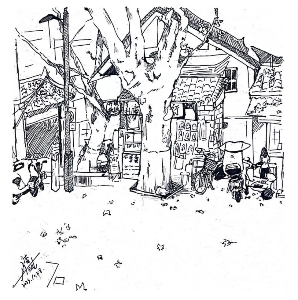 在他们眼中,汉中是这样的!