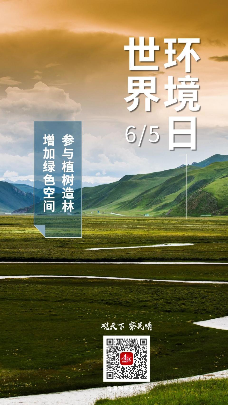 海报 | 【世界环境日】保护环境,我们可以这样做!